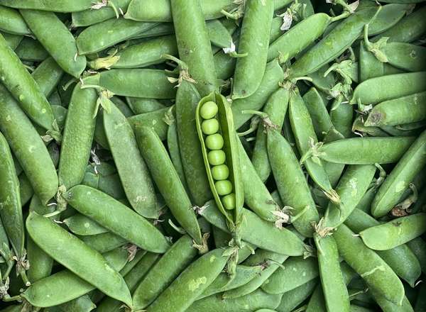 Organic Garden Peas (400g)