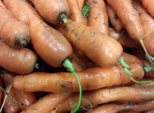 Carrots- Loose