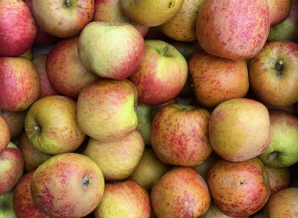 Organic English Cox Apples (1kg)