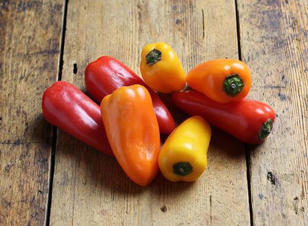 Sweet Bite Peppers (4)