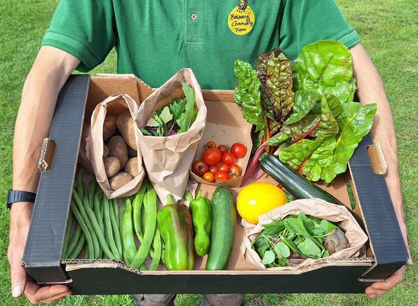 Standard Veg Box