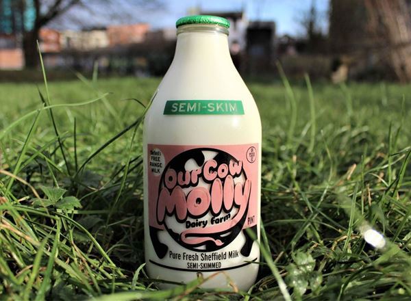 Our Cow Molly Semi Skimmed Milk, Pint