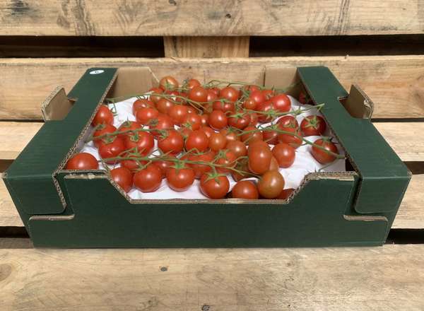 Tomatoes - Organic Cherry - vine