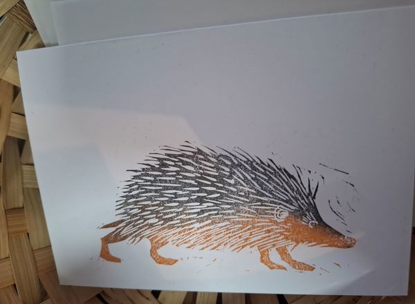 Hedgehog Greeting Card