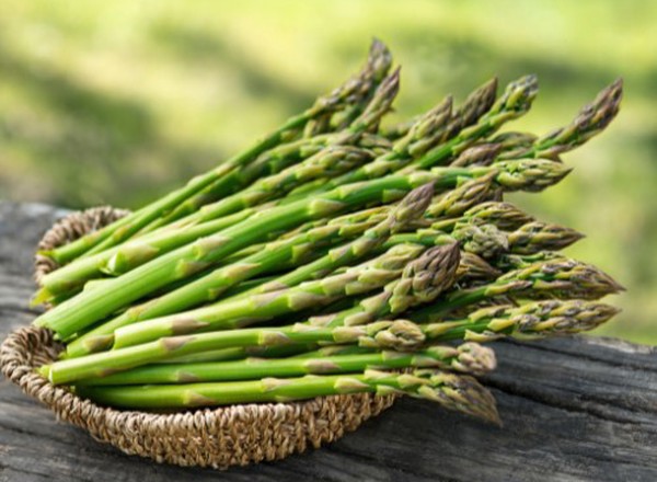 Asparagus