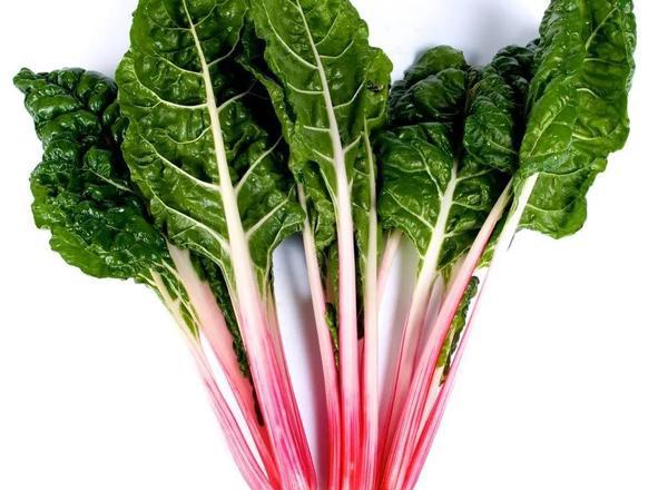 Chard Swiss "Peppermint"