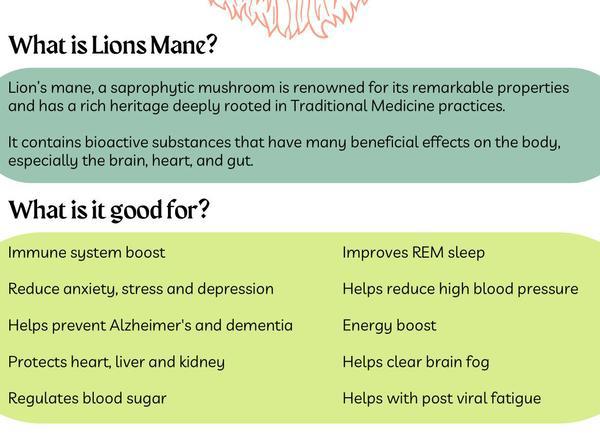 Lions Mane Capsules (90 vegan capsules)
