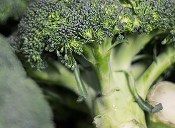 Broccoli (loose) - Organic