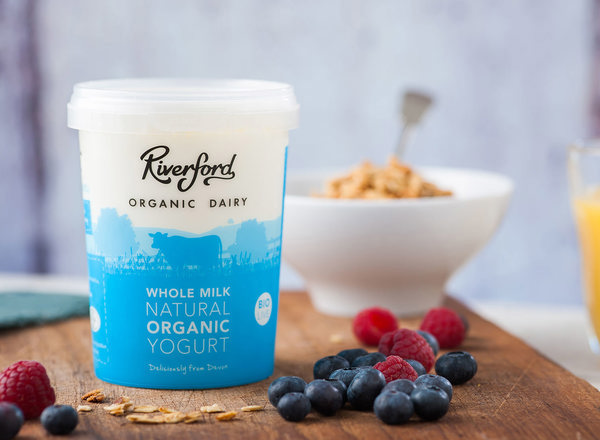 Yogurt Whole Milk Natural - Organic
