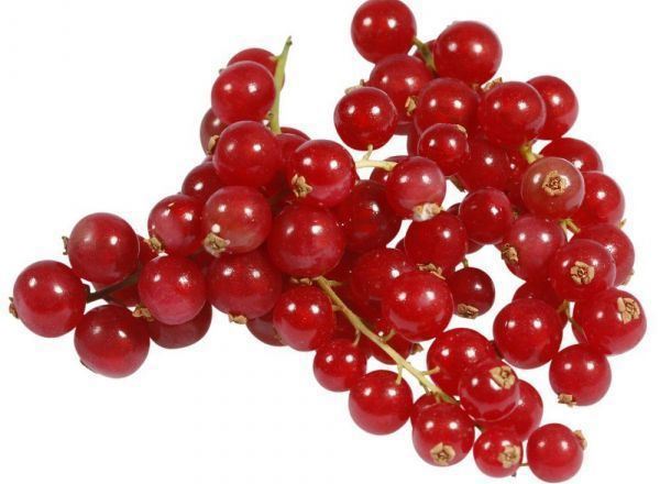Redcurrants