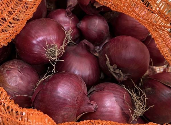 Onions - Red (France)