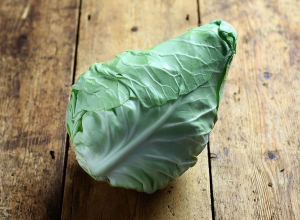 Cabbage: Pointed (Sweetheart)
