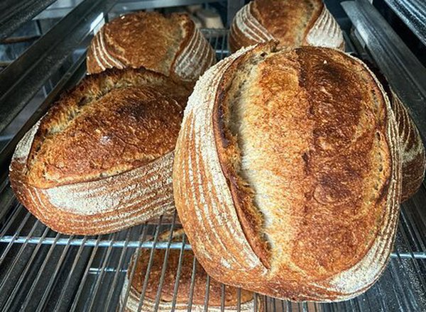 Bread - Organic House Sourdough - 800g