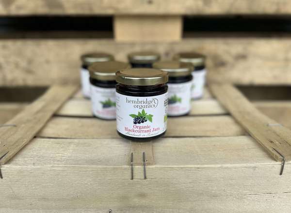 Organic Jam Blackcurrant