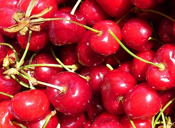 Cherries - approx 200g - Organic