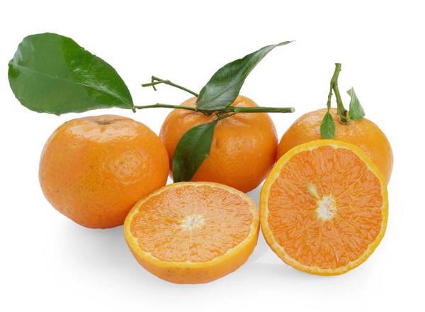 Clementines With Leaves