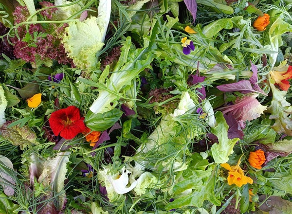 Mixed salad 100g