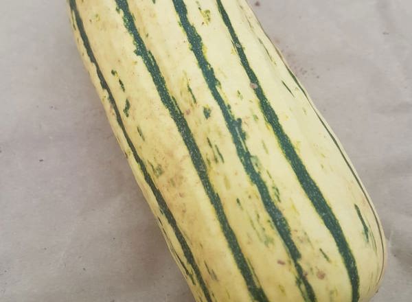 Squash - Delicata (x1)