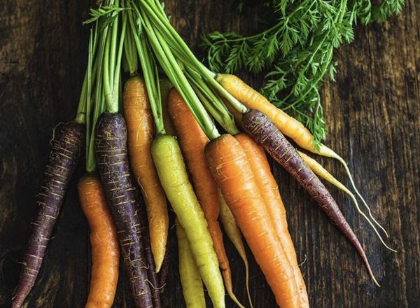 Carrots Rainbow Bunched