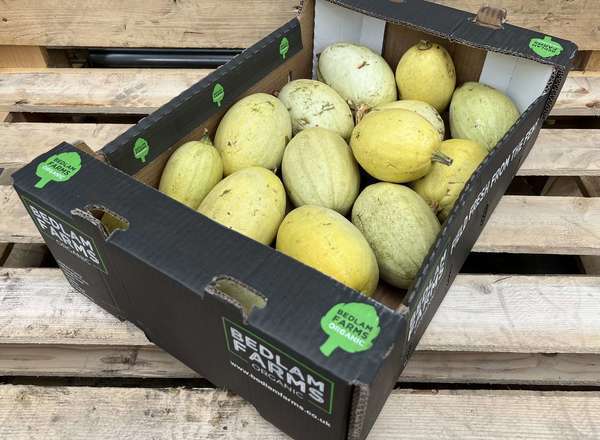 Organic Squash Spaghetti
