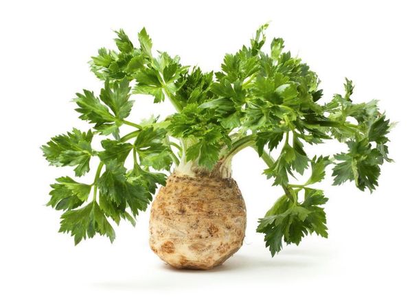 Celeriac