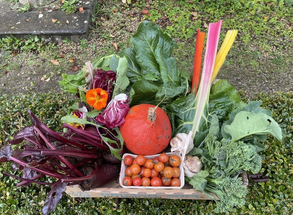 Large Veg Box