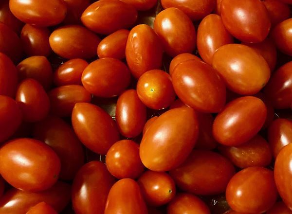 Tomato: Cherry Plum