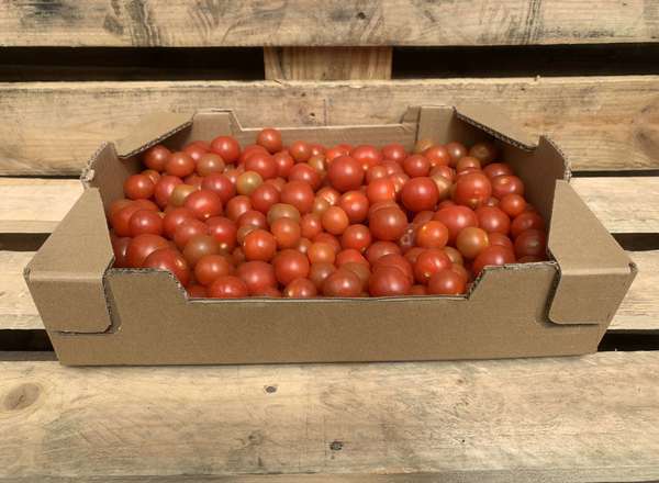 Organic Tomato Cherry Loose