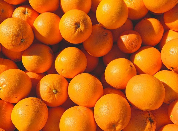 Organic Oranges Valencia