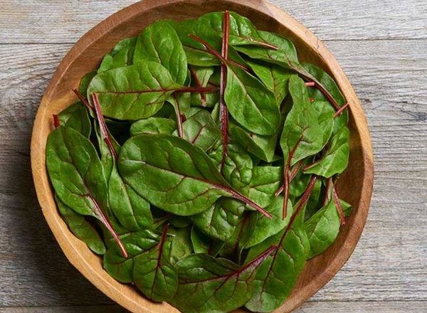 Chard Red Baby Leaf