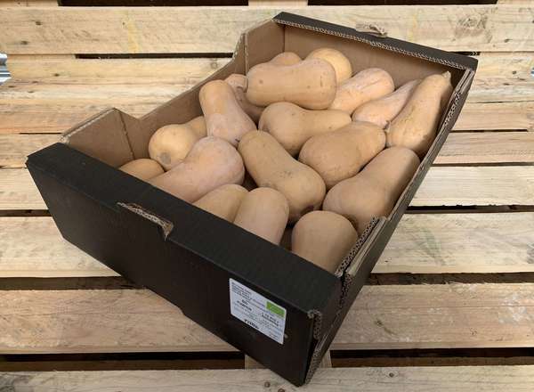 Organic Butternut Squash 10kg