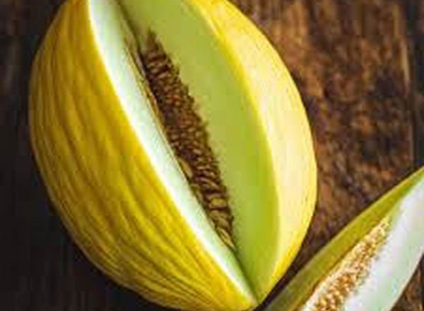Melon: Honeydew