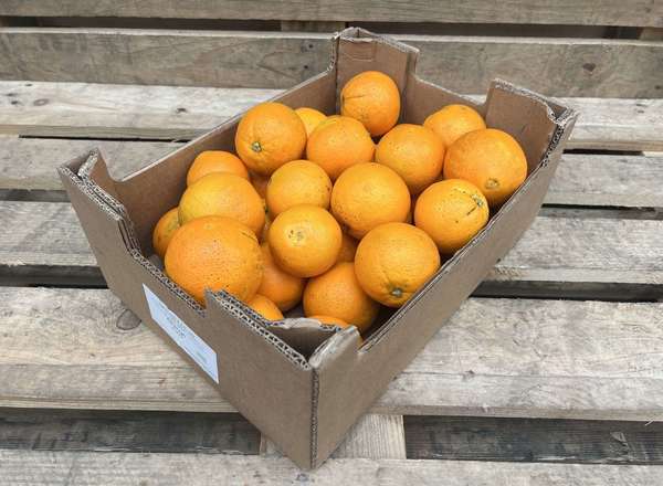 Organic Oranges