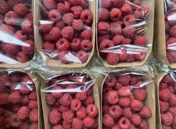 Raspberries (125g) (Portugal)