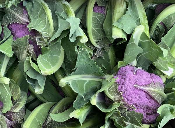 Organic Cauliflower Purple
