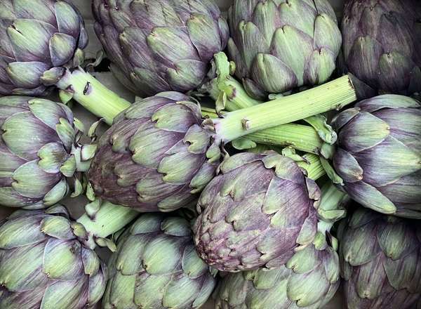 Artichoke - Purple (Italy)