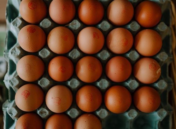 Eggs - Medium/Large (1/2 doz)
