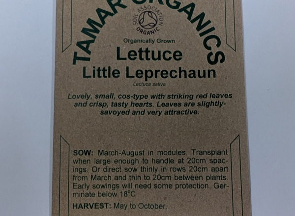 (Seeds) Lettuce - Little Leprechaun