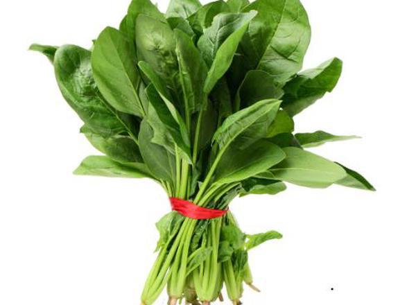 Spinach Perpetual