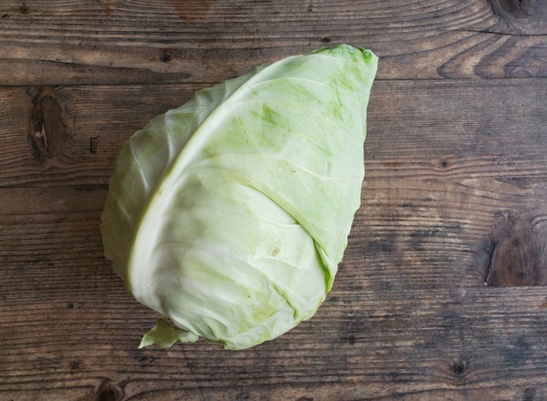 Cabbage - pointed