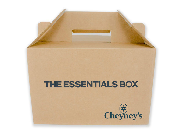 RUBY REDS: THE ESSENTIALS BOX