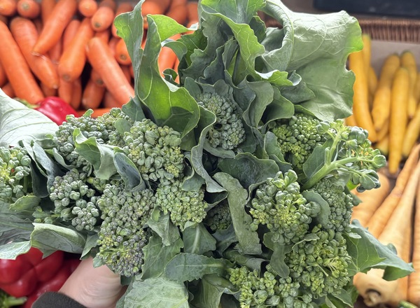 Baby Broccoli