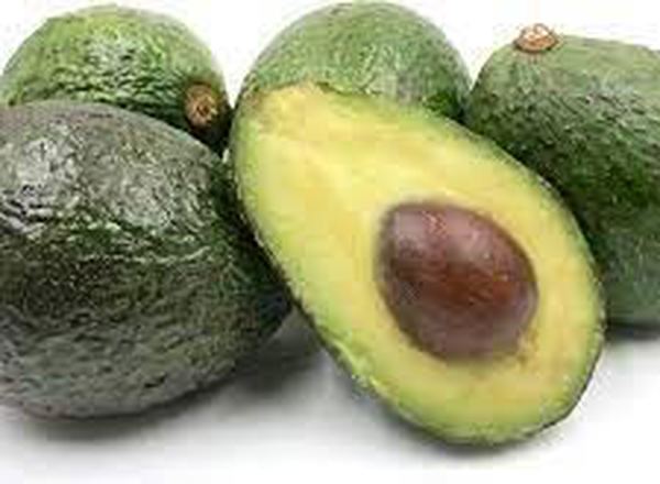 Avocado: Sharwil