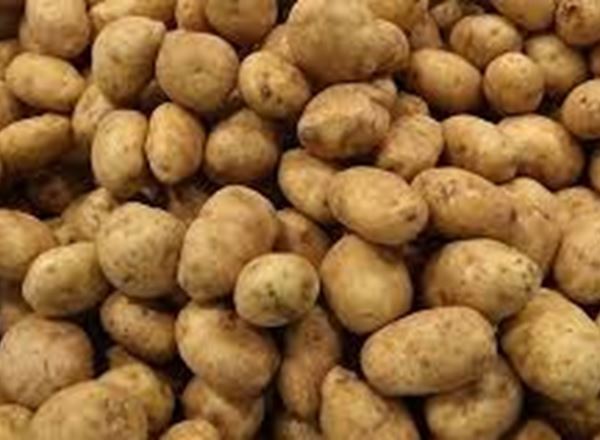Potatoes, general purpose - 5kg