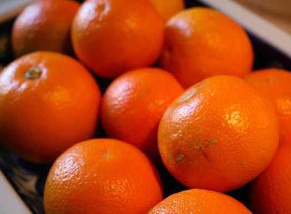 Seville Oranges Organic (1Kg)