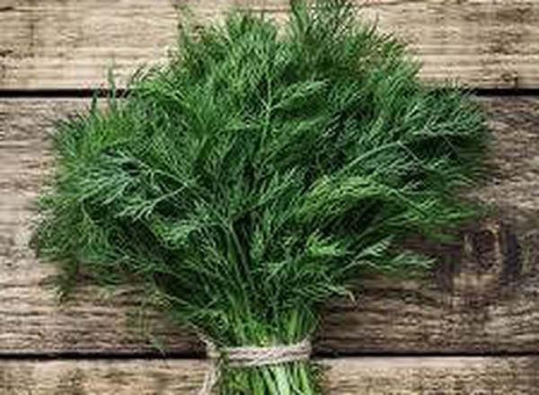 Dill (1 Bunch = about 4oz)