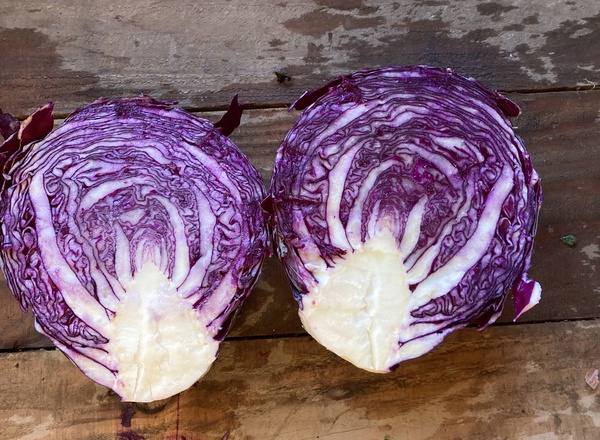 Red cabbage