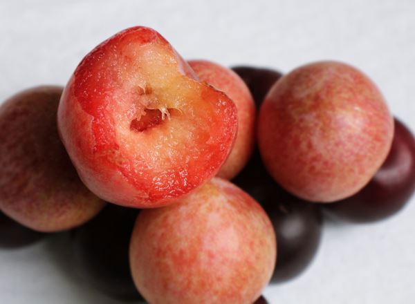 Plum (Spain)