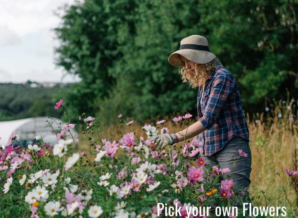 Pick Your Own Flowers Voucher