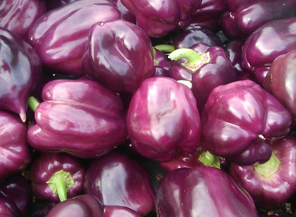 Pepper, bell - purple